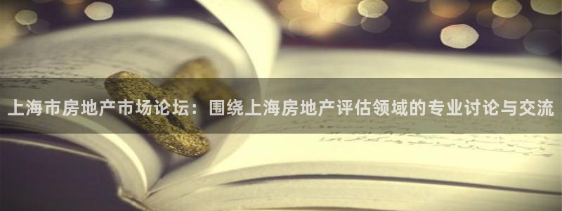 风暴娱乐右5指尖：上海市房地产市场论坛：围绕上海房地产评估领