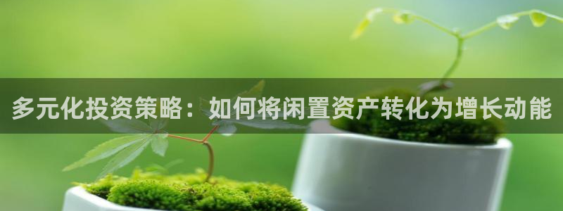 娱乐风暴合集：多元化投资策略：如何将闲置资产转化为增长动能