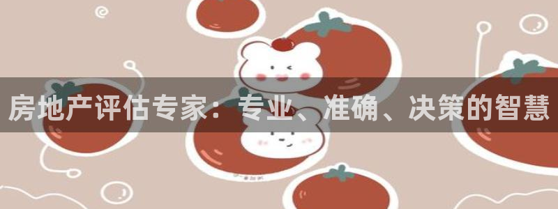 风暴娱乐号：房地产评估专家：专业、准确、决策的智慧