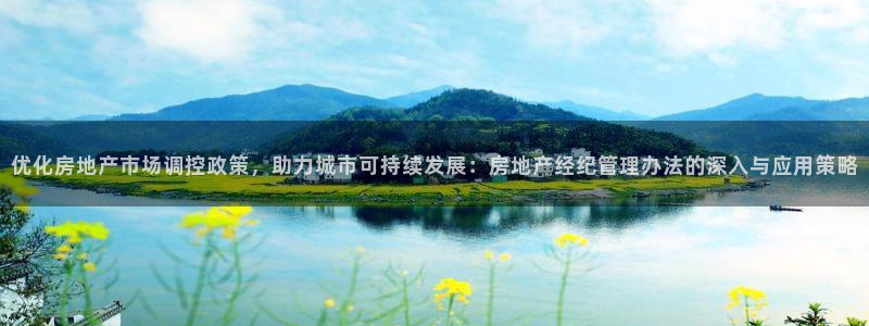 光风暴娱乐：优化房地产市场调控政策，助力城市可持续发展：房地