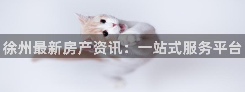 风暴娱乐：徐州最新房产资讯：一站式服务平台