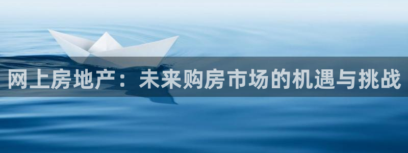 风暴娱乐号：网上房地产：未来购房市场的机遇与挑战