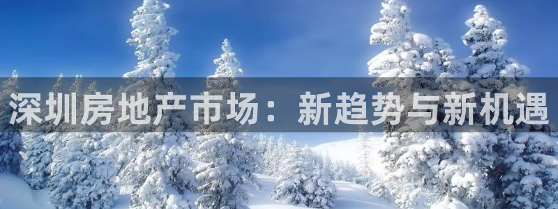 风暴娱乐平台官网登陆：深圳房地产市场：新趋势与新机遇