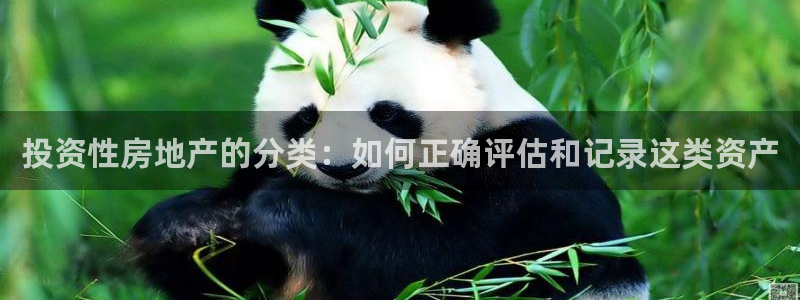 风暴娱乐拉菲8：投资性房地产的分类：如何正确评估和记录这类资