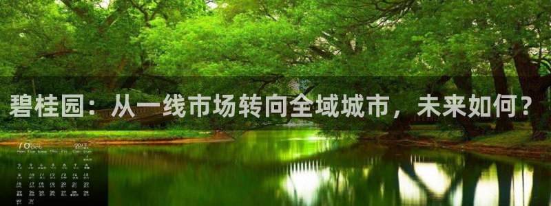 风暴娱乐有5指尖：碧桂园：从一线市场转向全域城市，未来如何？