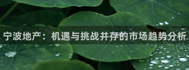 娱乐风暴开头：宁波地产：机遇与挑战并存的市场趋势分析
