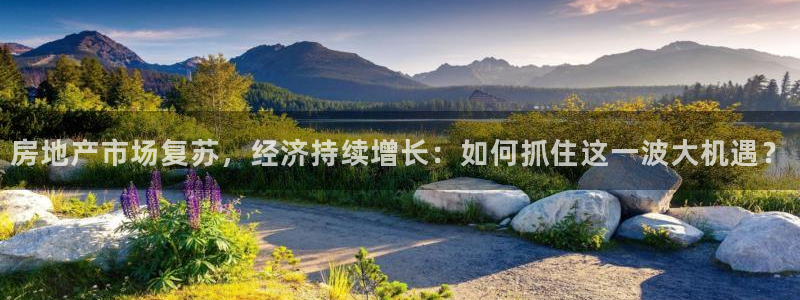 风暴娱乐派对：房地产市场复苏，经济持续增长：如何抓住这一波大