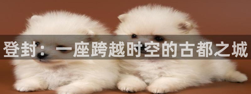 风暴注册娱乐：登封：一座跨越时空的古都之城