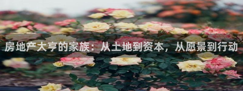 万万娱乐风暴：房地产大亨的家族：从土地到资本，从愿景到行动