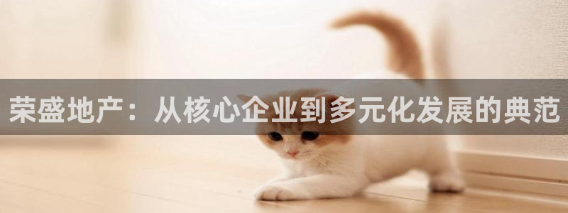 风暴娱乐下载：荣盛地产：从核心企业到多元化发展的典范