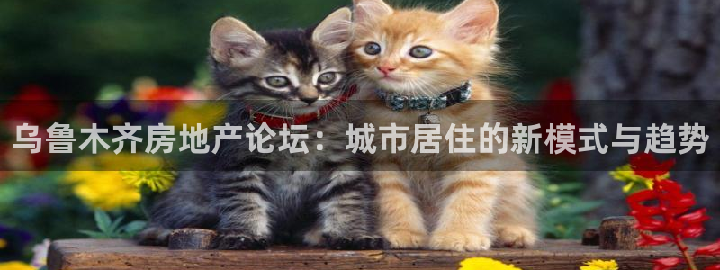 风暴娱乐月5指尖：乌鲁木齐房地产论坛：城市居住的新模式与趋势