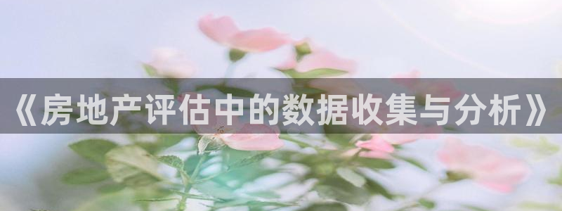 风暴娱乐1：《房地产评估中的数据收集与分析》