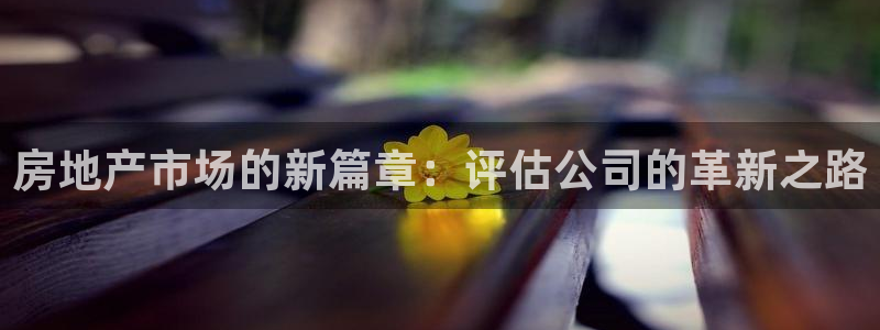 风暴娱乐首页：房地产市场的新篇章：评估公司的革新之路