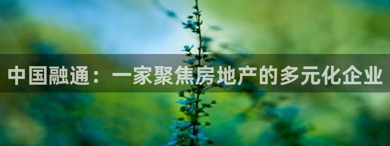 娱乐风暴2：中国融通：一家聚焦房地产的多元化企业