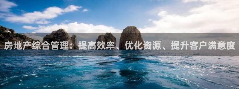 风暴眼娱乐：房地产综合管理：提高效率、优化资源、提升客户满意