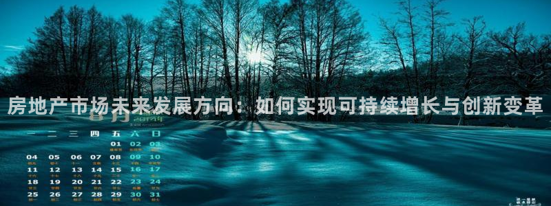 风暴娱乐老板：房地产市场未来发展方向：如何实现可持续增长与创