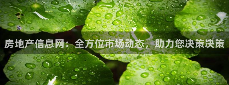 风暴娱乐眼