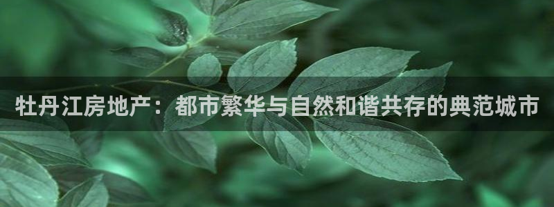 风暴娱乐老板：牡丹江房地产：都市繁华与自然和谐共存的典范城市
