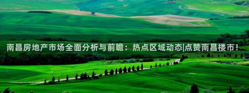 风暴娱乐有5指尖：南昌房地产市场全面分析与前瞻：热点区域动态