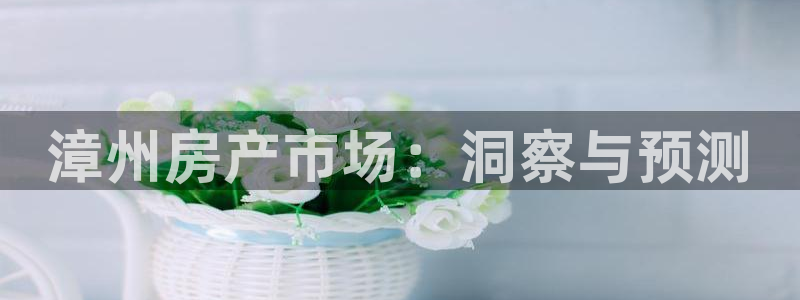 完美风暴 娱乐：漳州房产市场：洞察与预测