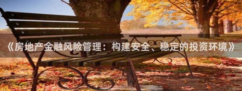 风暴娱乐待遇：《房地产金融风险管理：构建安全、稳定的投资环境