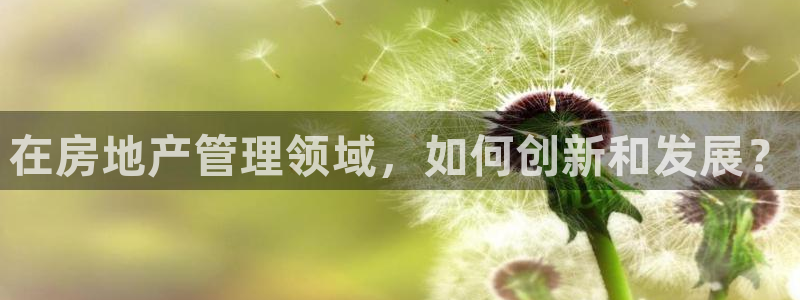 风暴娱乐1980：在房地产管理领域，如何创新和发展？