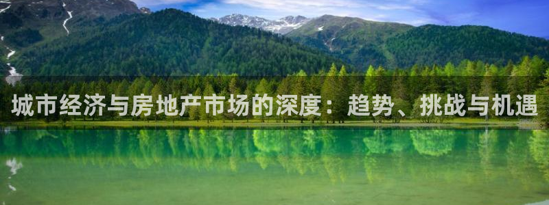 风暴娱乐乃六七五一38：城市经济与房地产市场的深度：趋势、挑