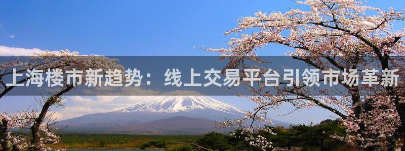 风暴娱乐眼：上海楼市新趋势：线上交易平台引领市场革新