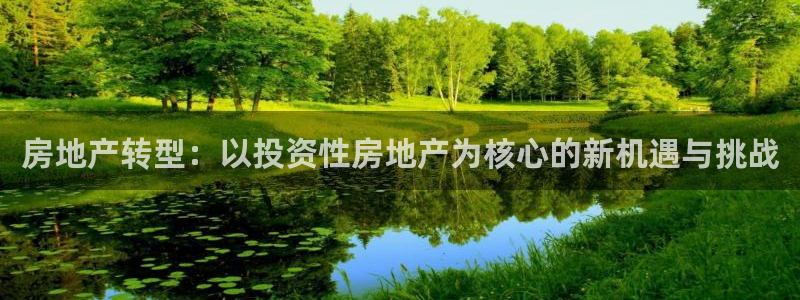 风暴注册娱乐：房地产转型：以投资性房地产为核心的新机遇与挑战