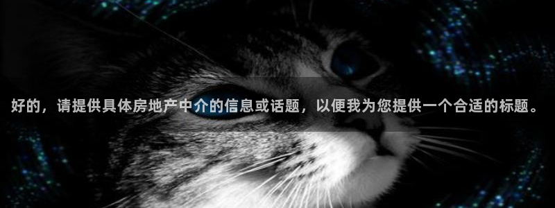 风暴娱乐厅：好的，请提供具体房地产中介的信息或话题，以便我为