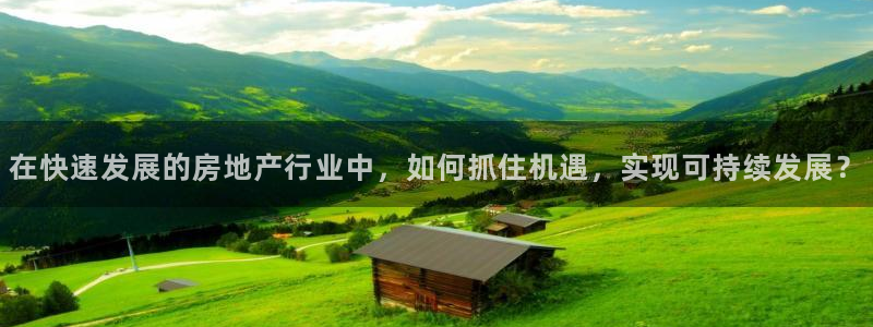 风暴娱乐字图片大全：在快速发展的房地产行业中，如何抓住机遇，