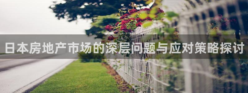 娱乐风暴港：日本房地产市场的深层问题与应对策略探讨