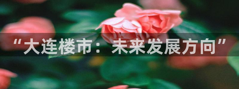 风暴娱乐号：“大连楼市：未来发展方向”