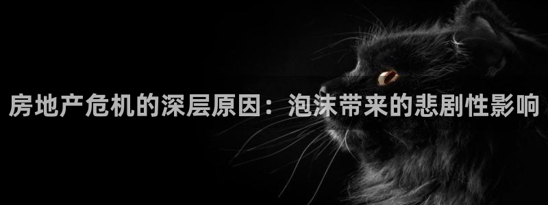 万万娱乐风暴：房地产危机的深层原因：泡沫带来的悲剧性影响