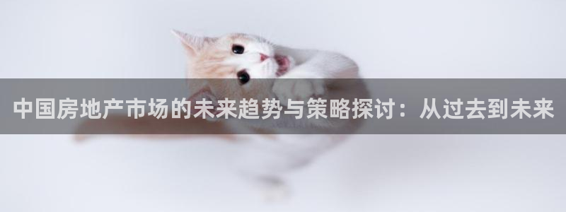 风暴娱乐5O6917：中国房地产市场的未来趋势与策略探讨：从