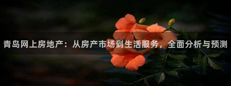 风暴娱乐344272：青岛网上房地产：从房产市场到生活服务，