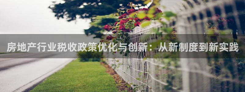 风暴大厅娱乐：房地产行业税收政策优化与创新：从新制度到新实践