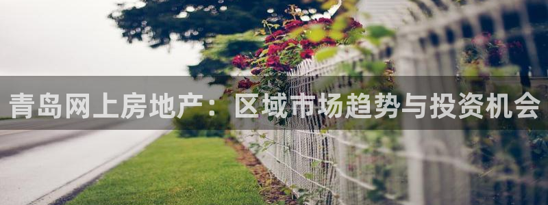 风暴娱乐求333OOf：青岛网上房地产：区域市场趋势与投资机
