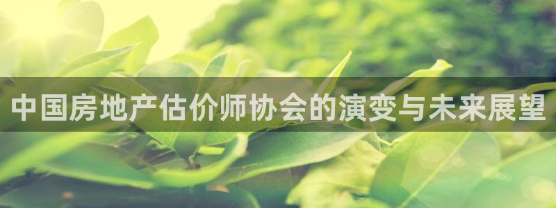 风暴娱乐求333OOf：中国房地产估价师协会的演变与未来展望