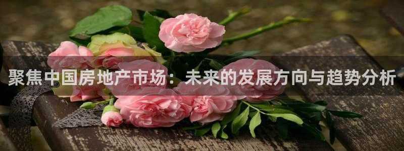 风暴娱乐40996：聚焦中国房地产市场：未来的发展方向与趋势
