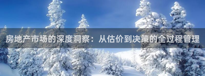 风暴娱乐下5指尖：房地产市场的深度洞察：从估价到决策的全过程