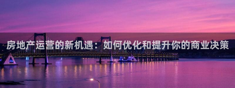 娱乐风暴二：房地产运营的新机遇：如何优化和提升你的商业决策