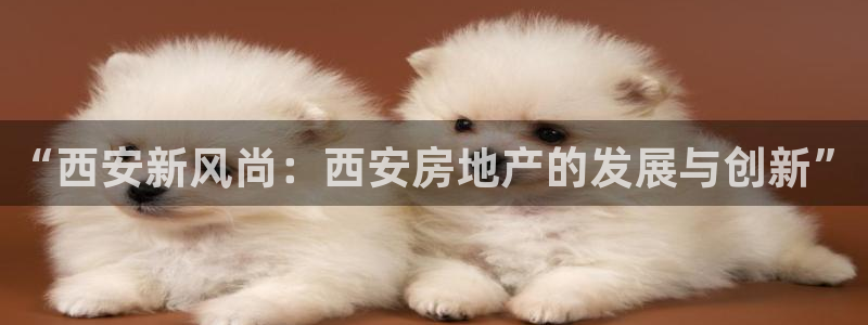 风暴新娱乐：“西安新风尚：西安房地产的发展与创新”