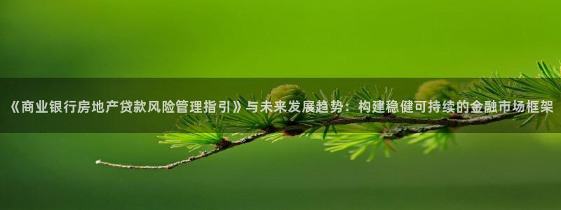 娱乐风暴2：《商业银行房地产贷款风险管理指引》与未来发展趋势