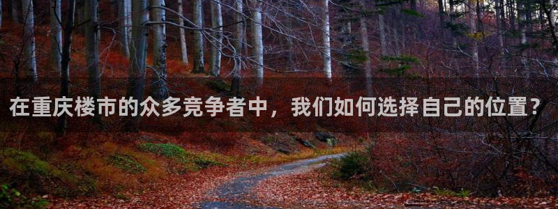风暴眼娱乐：在重庆楼市的众多竞争者中，我们如何选择自己的位置