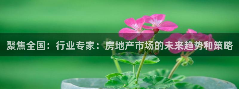 风暴娱乐拉菲8：聚焦全国：行业专家：房地产市场的未来趋势和策