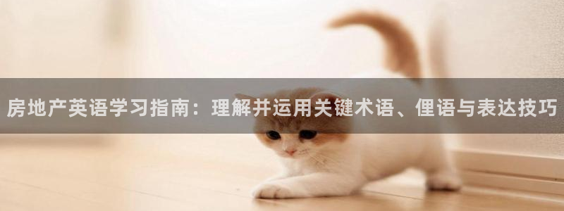 风暴娱乐眼：房地产英语学习指南：理解并运用关键术语、俚语与表