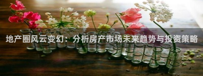 风暴娱乐客服：地产圈风云变幻：分析房产市场未来趋势与投资策略