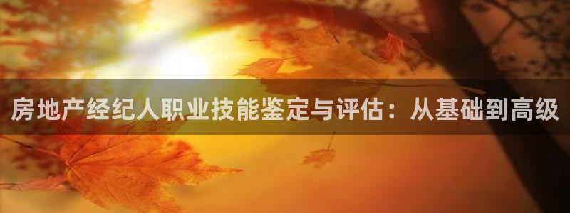 风暴娱乐1