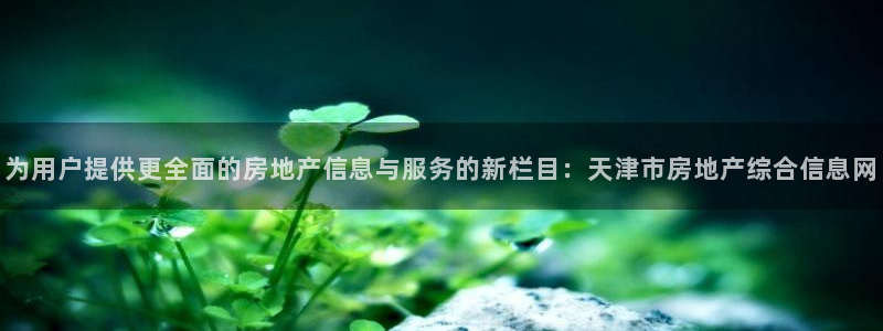 风暴娱乐平台地址：为用户提供更全面的房地产信息与服务的新栏目